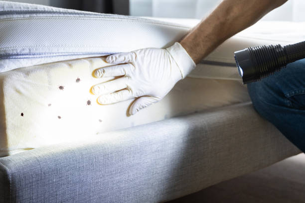 Best Cockroach Control Services  in Oakland, NE